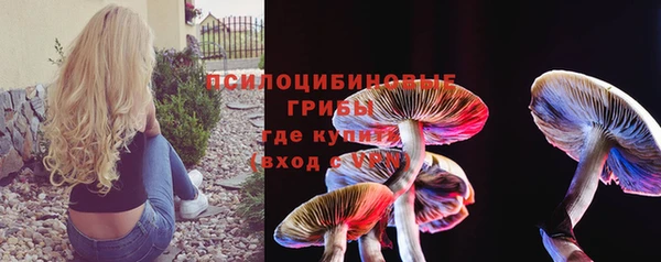 амфетамин Алексеевка