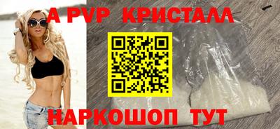 гашик Кудрово