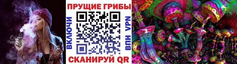 гидра рабочий сайт  Тольятти  Галлюциногенные грибы MAGIC MUSHROOMS  как найти наркотики 