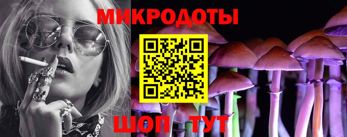 Псилоцибиновые грибы мицелий Тольятти