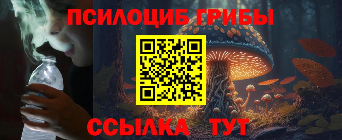 где продают наркотики  Вход с VPN  Тольятти  Галлюциногенные грибы GOLDEN TEACHER  Псилоцибиновые грибы прущие грибы 